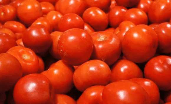Làm thế nào để biết một quả cà chua có chất kích thích? Ghi nhớ 4 điểm, nhìn thoáng qua là biết cà chua hormone”, đừng bao giờ mua!-2