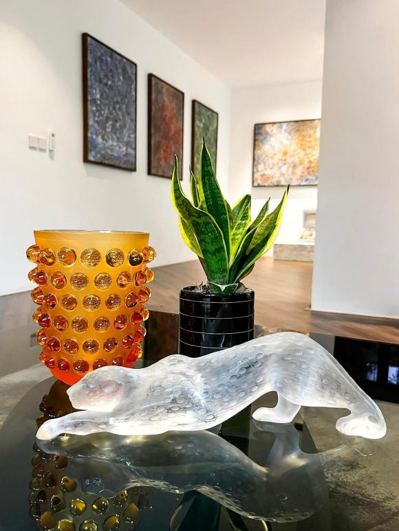 BTV Ngọc Trinh khoe thêm một số góc trong siêu biệt thự đẳng cấp, nhìn ai cũng mê!-3