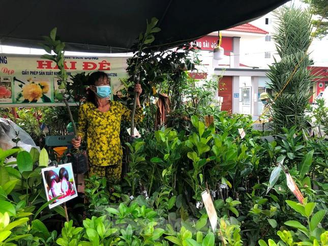 Chanh leo ngọt cả trăm nghìn đồng/kg vẫn cháy hàng-2