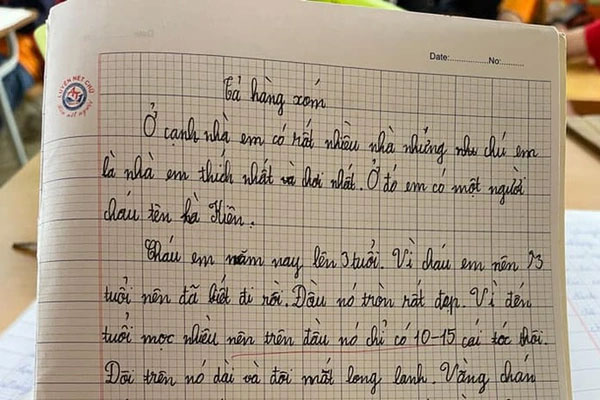 Bài văn bóc phốt mẹ của học sinh lớp 2: Gắt gỏng như sư tử Hà Đông, lúc bố đi uống rượu về mặt mẹ như con hà mã...-2