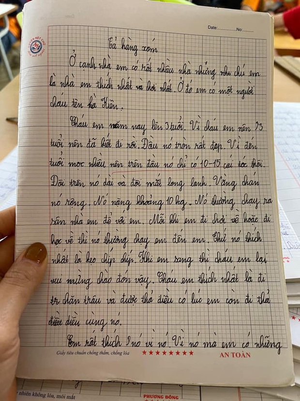 Bài văn miêu tả hàng xóm chân thực tới phũ phàng khiến cộng đồng mạng cười ngất-1