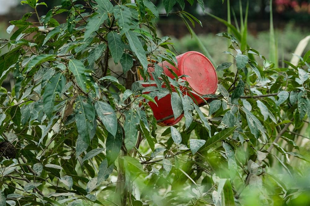 Hà Nội: Người dân vất vả dọn dẹp sau trận mưa lớn đầu mùa, nhiều tài sản hàng trăm triệu trôi theo dòng nước-8