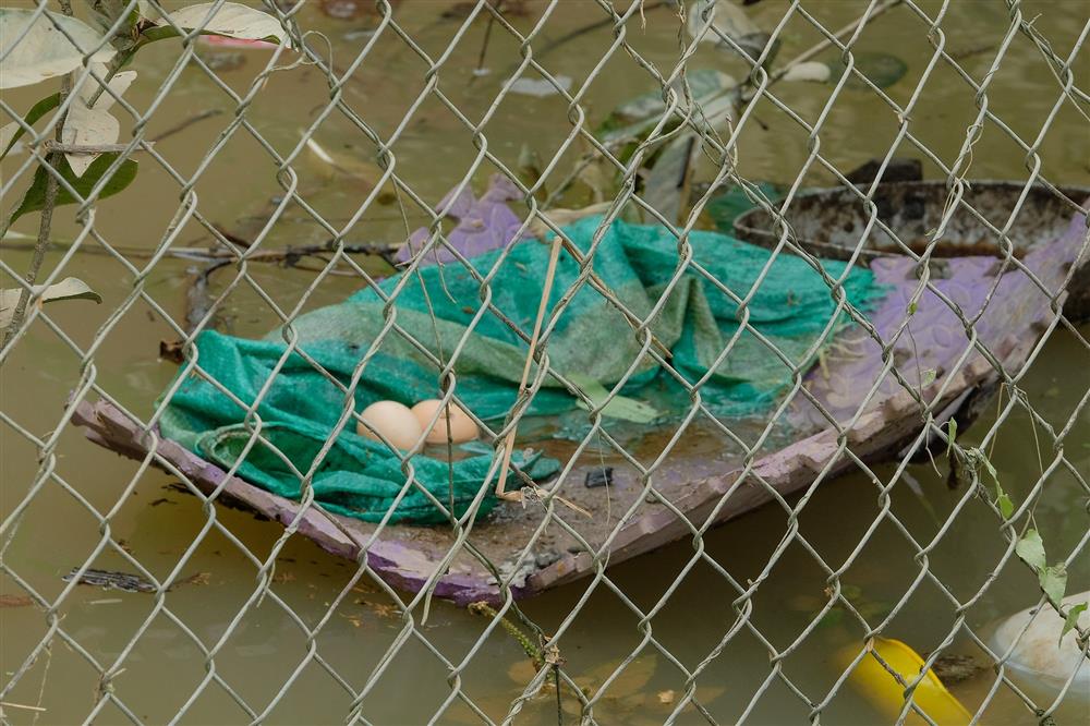 Hà Nội: Người dân vất vả dọn dẹp sau trận mưa lớn đầu mùa, nhiều tài sản hàng trăm triệu trôi theo dòng nước-12