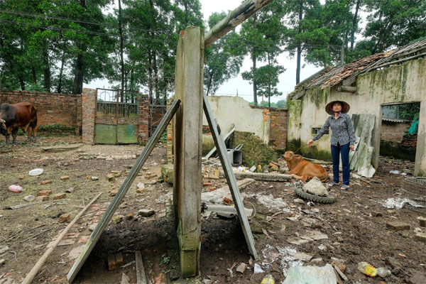 Miền Bắc lại đón mưa lớn từ đêm nay-3