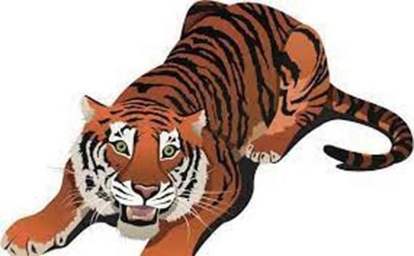 Trong 6 tuần tới, 3 con giáp sẽ thoát khỏi vận đen, vận trình tài lộc đột phá, tích lũy được nhiều tiền của-1