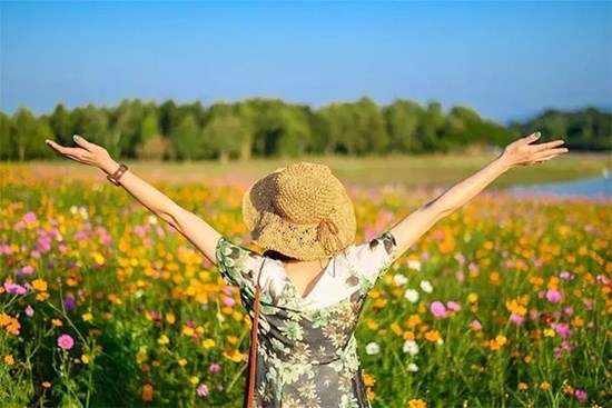 Vét hết cửa nhà cho vợ đi họp lớp: 