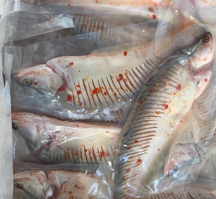 Loài cá xưa không ai thèm ăn nay bán 330.000 đồng/kg-11