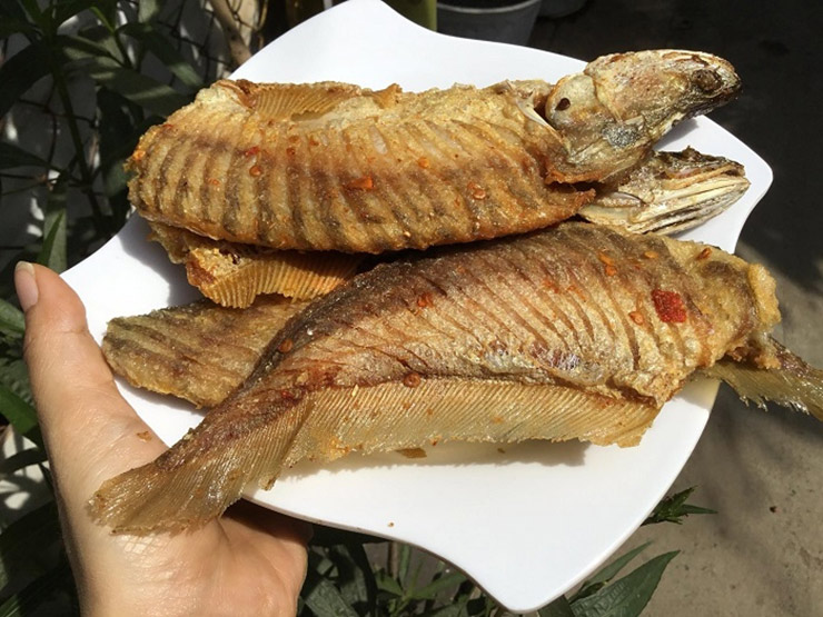Loài cá xưa không ai thèm ăn nay bán 330.000 đồng/kg-5