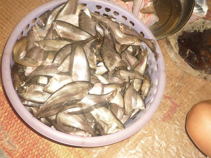 Loài cá xưa không ai thèm ăn nay bán 330.000 đồng/kg-9