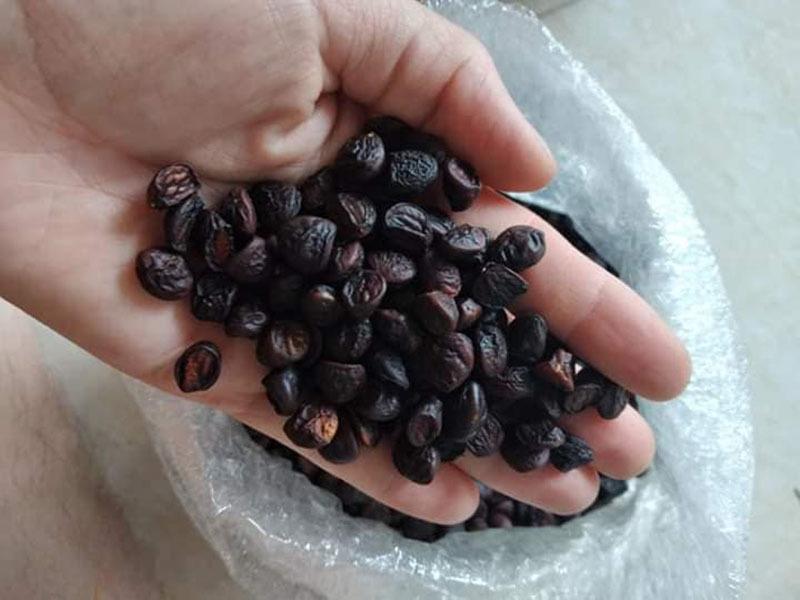 Ba loại gia vị Tây Bắc cực đắt đỏ, có tiền chưa chắc mua được-1