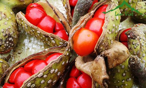 Ba loại gia vị Tây Bắc cực đắt đỏ, có tiền chưa chắc mua được-2