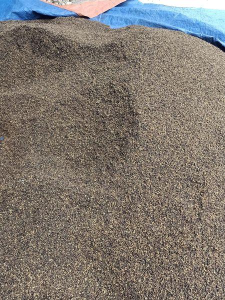 Ba loại gia vị Tây Bắc cực đắt đỏ, có tiền chưa chắc mua được-5