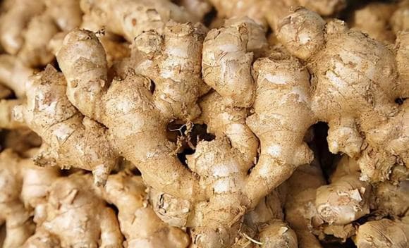 Gừng không được để trong tủ lạnh, mách bạn 3 mẹo nhỏ, sau nửa năm gừng vẫn tươi, không bị khô và không bị hôi!-5