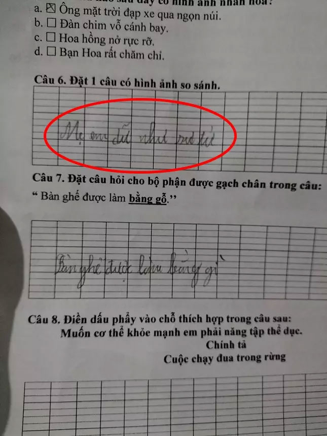 Học sinh tả mẹ như sư tử sắp vồ lấy em khiến dân mạng cười té ghế-1