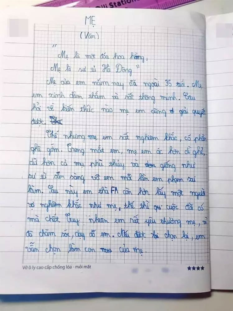 Học sinh tả mẹ như sư tử sắp vồ lấy em khiến dân mạng cười té ghế-2