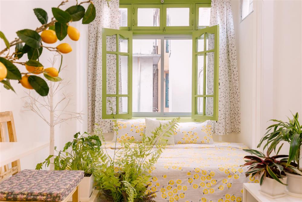 Cô gái Hà Nội cải tạo phòng trọ 35m² chỉ 25 triệu mà đẹp ngỡ ngàng-6