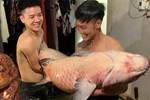 Người dân bắt được cá trắm đen nặng 53kg, dài hơn 1m ở hồ Thác Bà