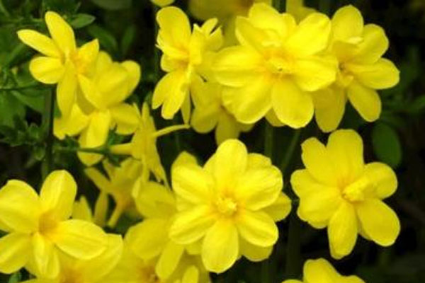 Sinh vào 5 ngày Âm lịch này năm 2022 không gặp bão lớn, cuối năm ngân khố tràn đầy-5