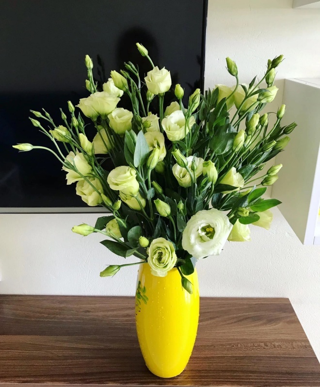 Phòng khách có 4 loại hoa may mắn này lộc đổ ào ào, nghe tên đã thấy mùi tiền-2