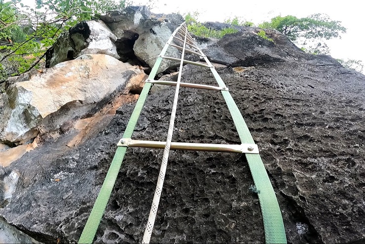 Theo chân thợ rừng thu hoạch tổ ong mật khổng lồ” trên vách đá, giá bán cả triệu đồng/lít-4