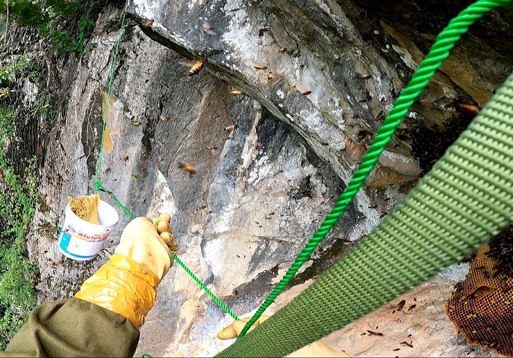 Theo chân thợ rừng thu hoạch tổ ong mật khổng lồ” trên vách đá, giá bán cả triệu đồng/lít-9