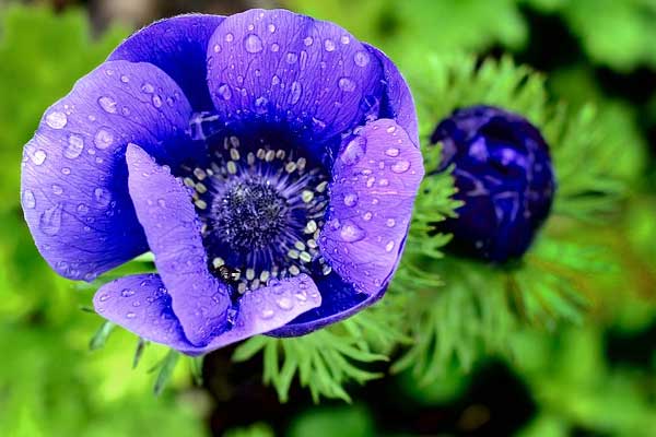 Sinh vào 5 ngày Âm lịch này năm 2022 không gặp bão lớn, cuối năm ngân khố tràn đầy-1