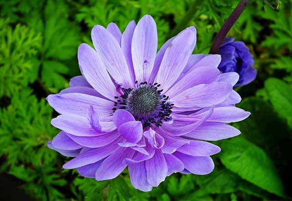 Sinh vào 5 ngày Âm lịch này năm 2022 không gặp bão lớn, cuối năm ngân khố tràn đầy-3