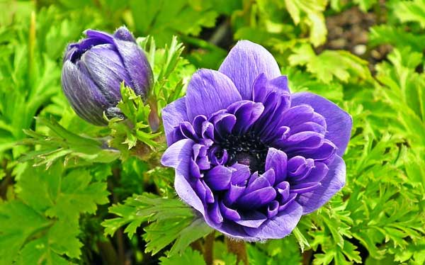 Sinh vào 5 ngày Âm lịch này năm 2022 không gặp bão lớn, cuối năm ngân khố tràn đầy-4