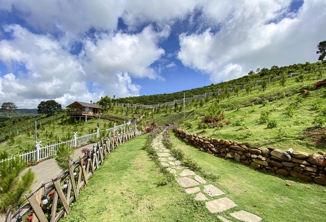 Xử phạt chủ khu đất mà Ngọc Trinh khoe đã mua-1