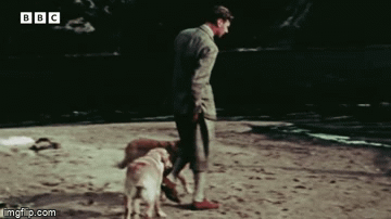 Loạt khoảnh khắc thú vị chưa từng thấy của Nữ hoàng Anh thời trẻ được công bố gây sốt truyền thông-2