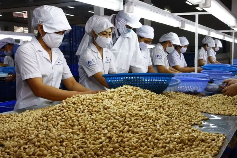 Món hàng Việt chiếm Top đầu thế giới đang mất dần thị phần tại Trung Quốc-1