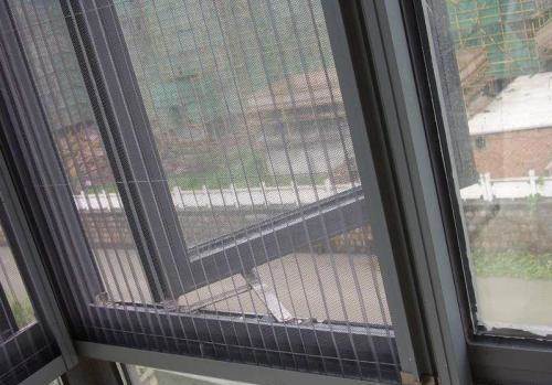 Nếu nhà bạn chuộng cửa sổ lưới nhưng lười vệ sinh, học ngay mẹo này, không cần tháo rời, vết bẩn sẽ tự rơi xuống-4