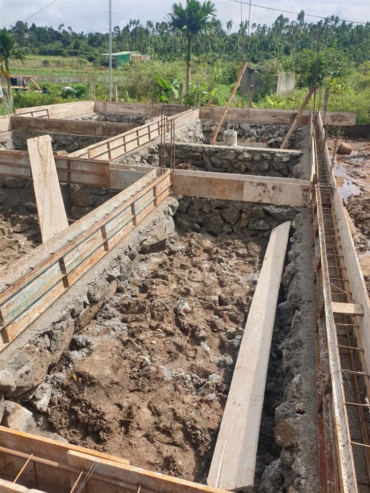 Công việc đình trệ nên chuyển sang bán đồ ăn, cô gái kiếm 600 triệu trong vòng 5 tháng, về quê xây nhà đẹp lung linh-2