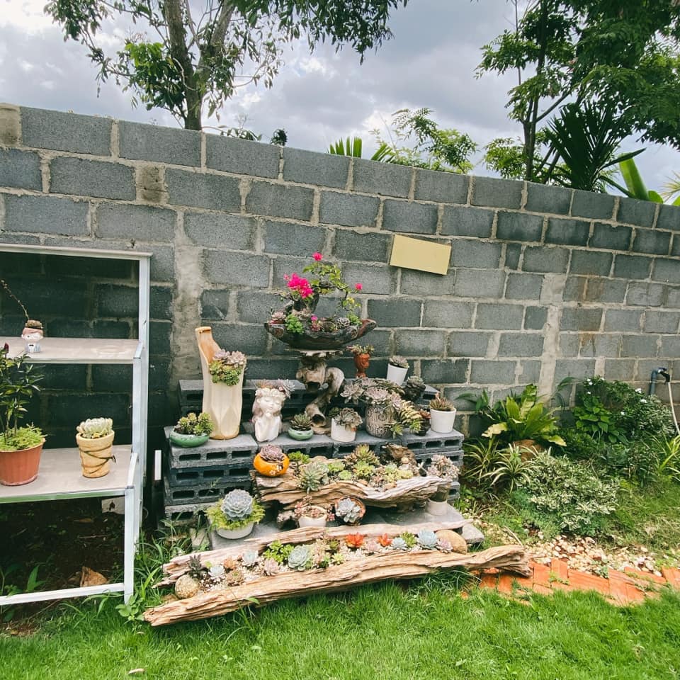 Công việc đình trệ nên chuyển sang bán đồ ăn, cô gái kiếm 600 triệu trong vòng 5 tháng, về quê xây nhà đẹp lung linh-12