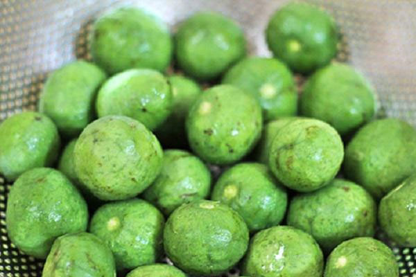 Cách bảo quản sấu tươi đơn giản, để cả năm vẫn ngon như mới hái-1