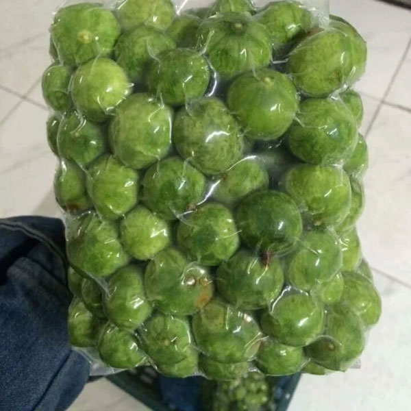 Cách bảo quản sấu tươi đơn giản, để cả năm vẫn ngon như mới hái-2