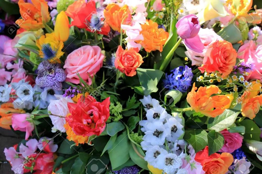 Cuối tháng 4 Âm lịch, 3 con giáp có tài lộc vượng phát, rủng rỉnh tiền bạc-2