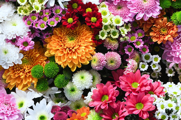 Đúng 4 tuần nữa, 3 con giáp này thoát khỏi vận đen, có đột phá trong tài lộc-4