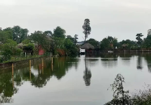 Bé 4 tuổi chết đuối dưới ao nông trại khi đi tham quan du lịch cùng người thân-2