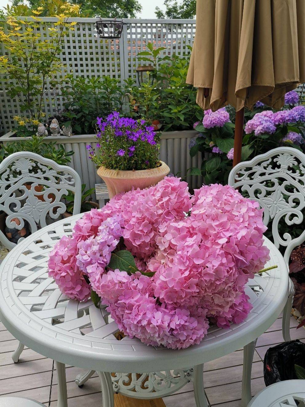 Khu vườn sân thượng 40m² được mẹ đảm thành phố tự tay làm từ A đến Z, khiến bạn ngắm không biết chán-12