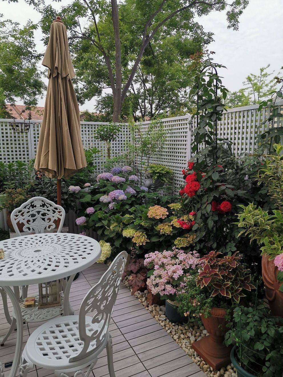 Khu vườn sân thượng 40m² được mẹ đảm thành phố tự tay làm từ A đến Z, khiến bạn ngắm không biết chán-3