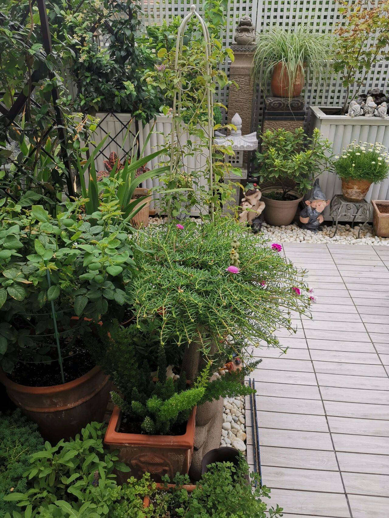 Khu vườn sân thượng 40m² được mẹ đảm thành phố tự tay làm từ A đến Z, khiến bạn ngắm không biết chán-9