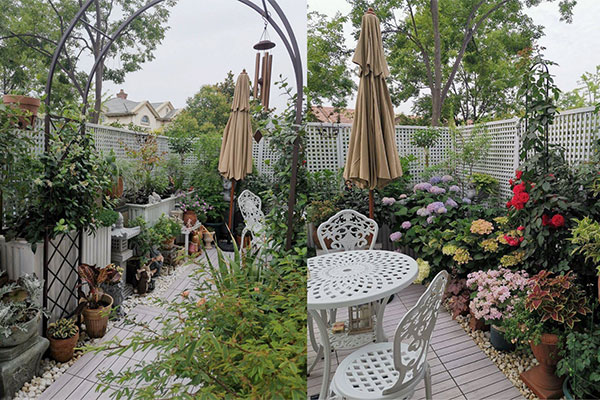 Choáng với khu vườn sinh thái rộng 50.000m2 của Vân Trang tại quê nhà Tiền Giang-11