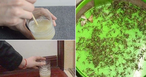 Trộn bột giặt với lon bia uống dở để góc nhà: Muỗi nhiều mấy cũng bị diệt sạch bách-1