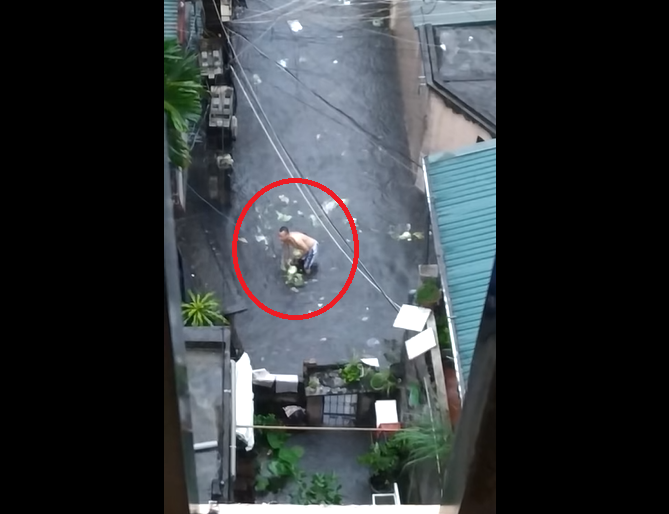Bi hài clip người đàn ông ‘hôi của’ 2 cây bắp cải đi lạc dưới mưa ngập ở Hà Nội-2