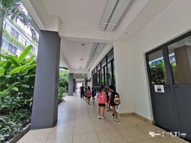 Con chuyển từ trường tiểu học công lập sang trường quốc tế, sau 2 năm THAY ĐỔI ngã ngửa: Bà mẹ rút ra loạt kinh nghiệm hữu ích-5