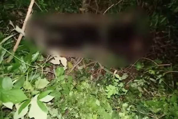 Phát hiện thi thể người phụ nữ đang phân huỷ-1