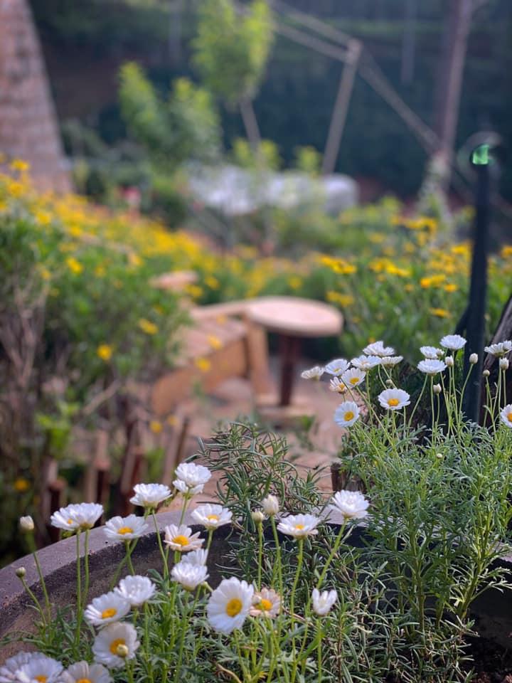 Ngôi nhà trên đỉnh núi mây phủ, ngập tràn hương sắc hoa-4