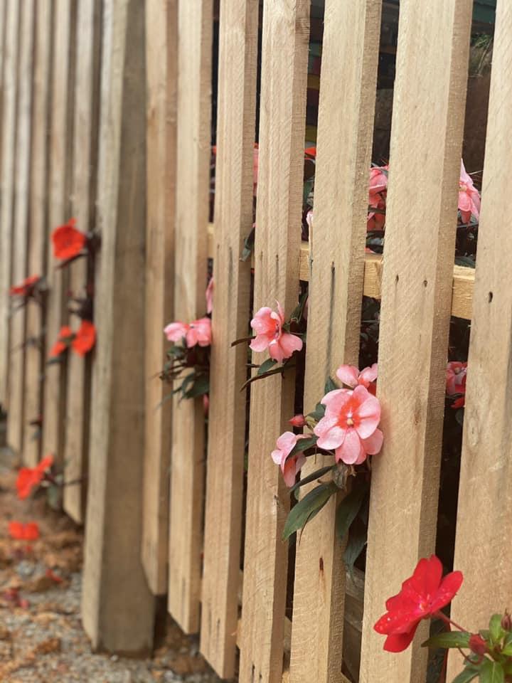 Ngôi nhà trên đỉnh núi mây phủ, ngập tràn hương sắc hoa-10