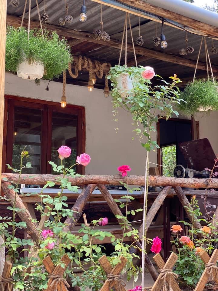 Ngôi nhà trên đỉnh núi mây phủ, ngập tràn hương sắc hoa-11